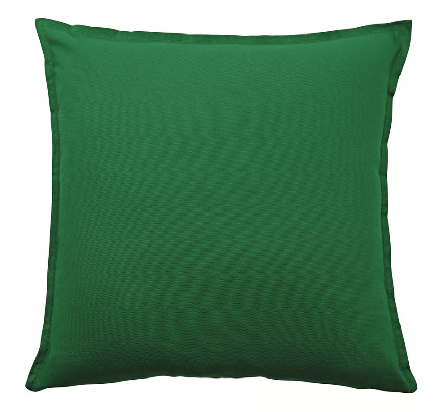 Have Fun,Be Safe, Make Good Choices Pillow